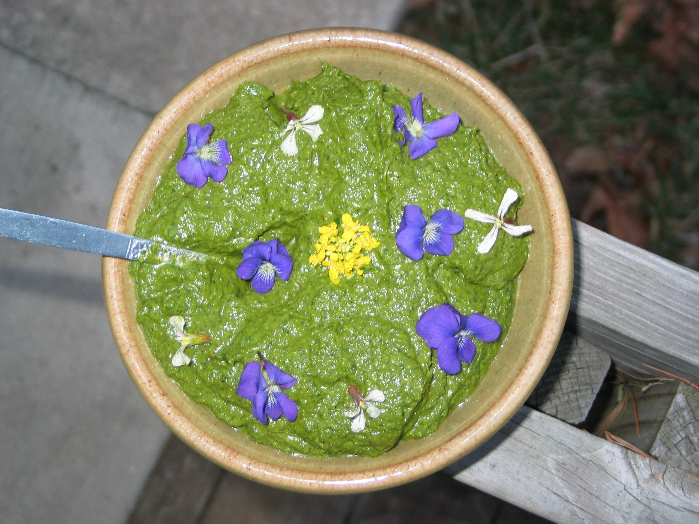 Wild Greens pesto crafted by Ethnobotanist Marc Williams